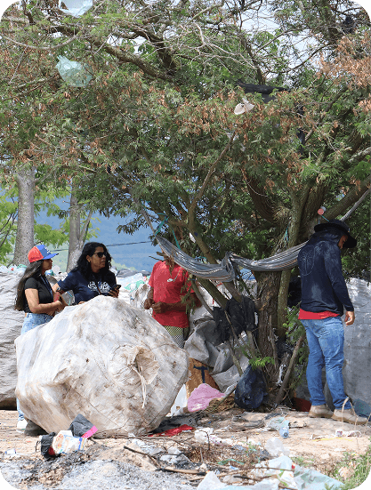 Equipe Jaguarari Sustentável em campo